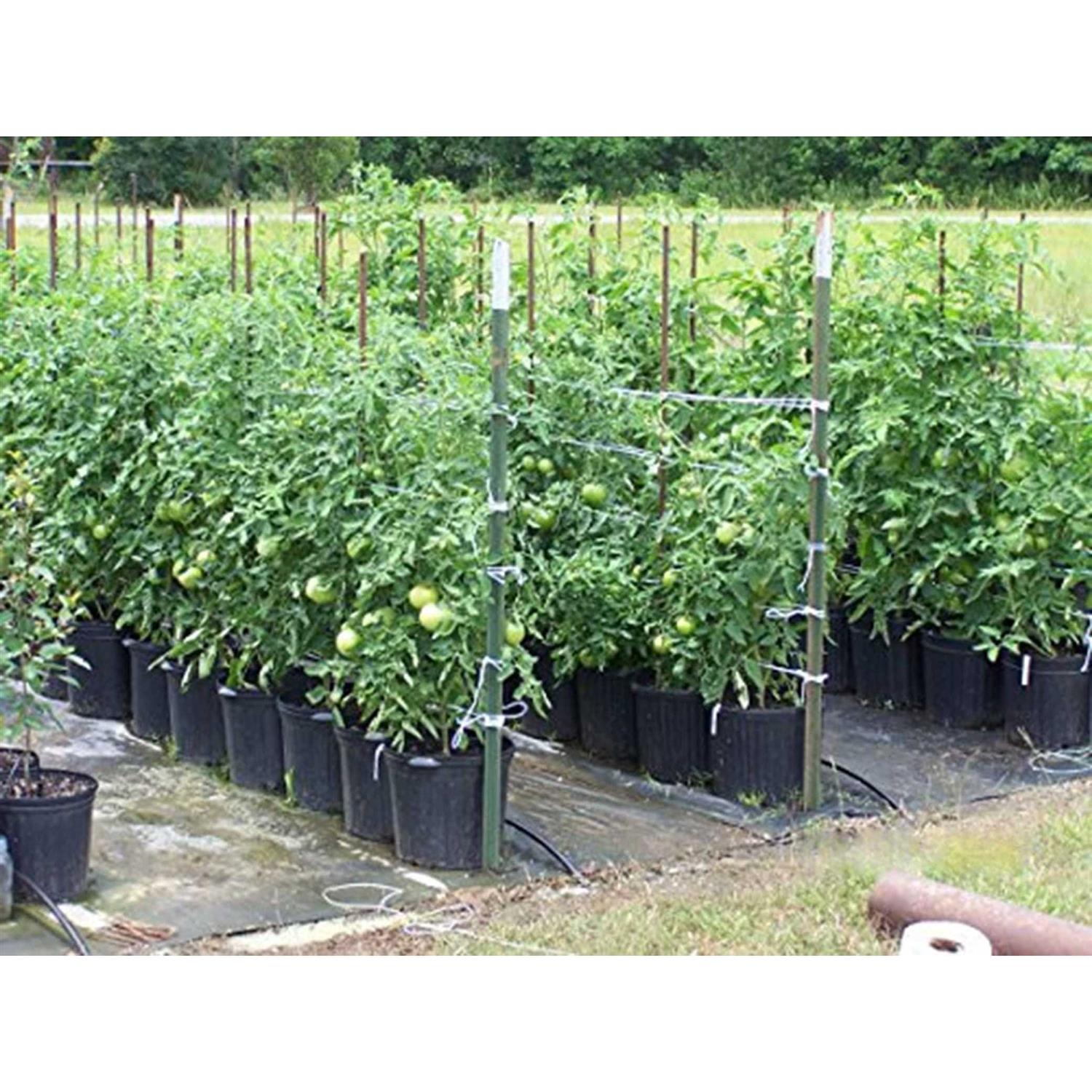 irrigation-mart 6300ft Tomato Tying Garden Twine	irrigation-mart 6300ft Tomato Tying Garden Twine - Cheap Fitting