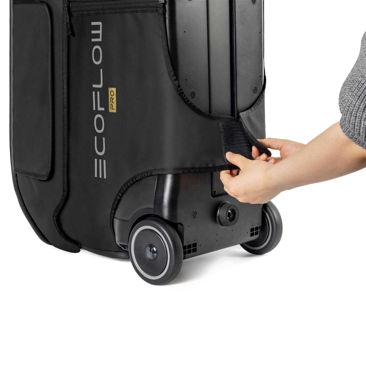 EcoFlow DELTA Pro Bag - Cheap Fitting