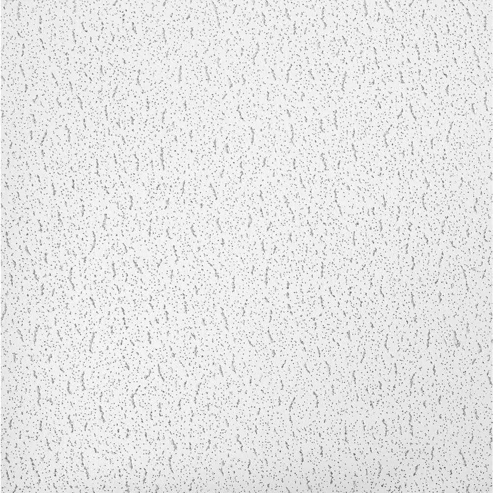 Armstrong Ceilings Textured 2 ft. x 2 ft. Lay-In Ceiling Panel - Cheap Fitting