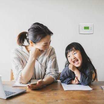 Honeywell RTH2300B1038/A - Cheap Fitting