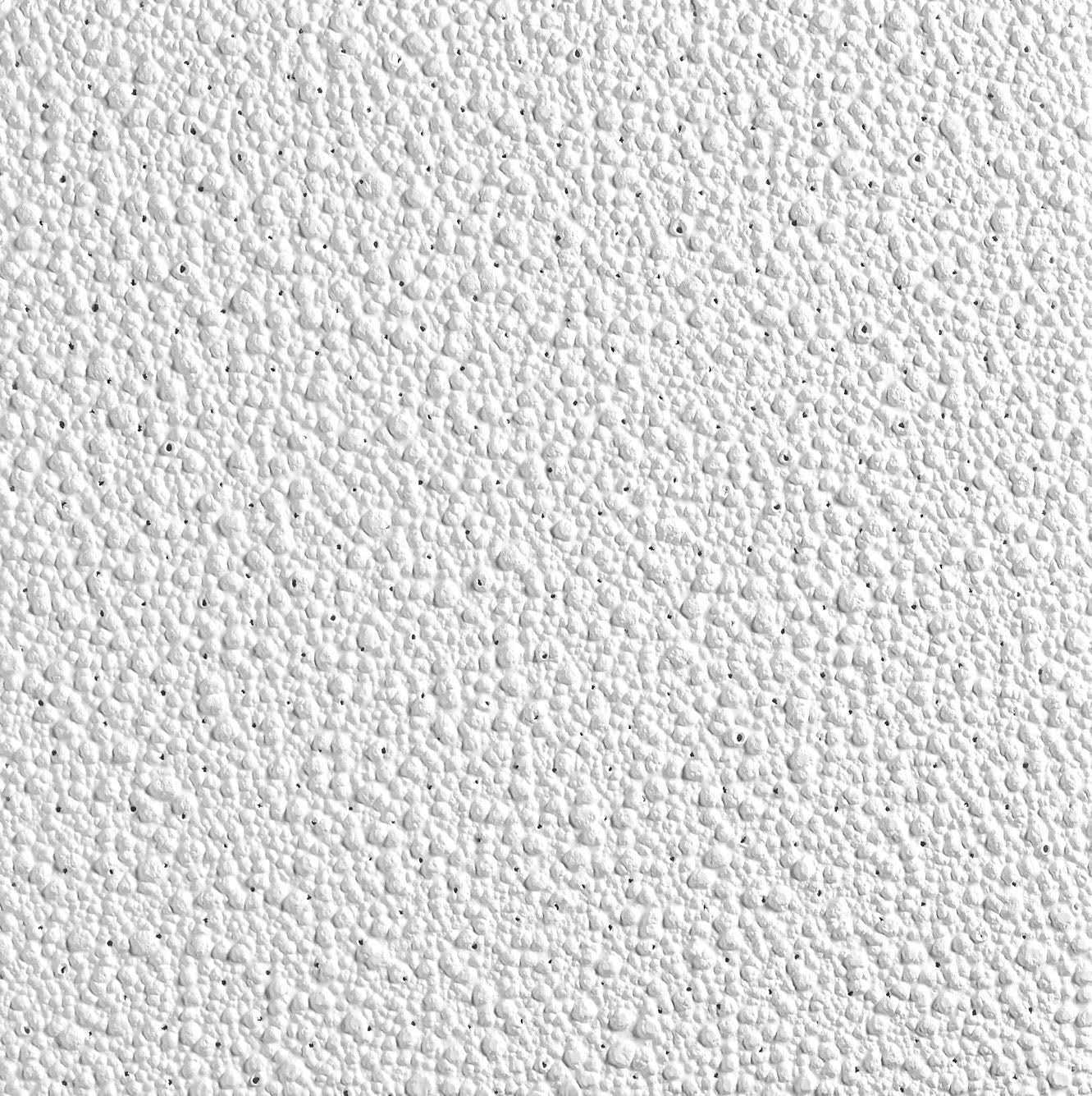 Armstrong Ceilings 24-in x 24 White Fiberglass Drop Ceiling Tile - Cheap Fitting