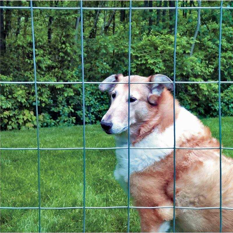 Garden Zone 36 in. H X 50 ft. L Steel Fence - Cheap Fitting