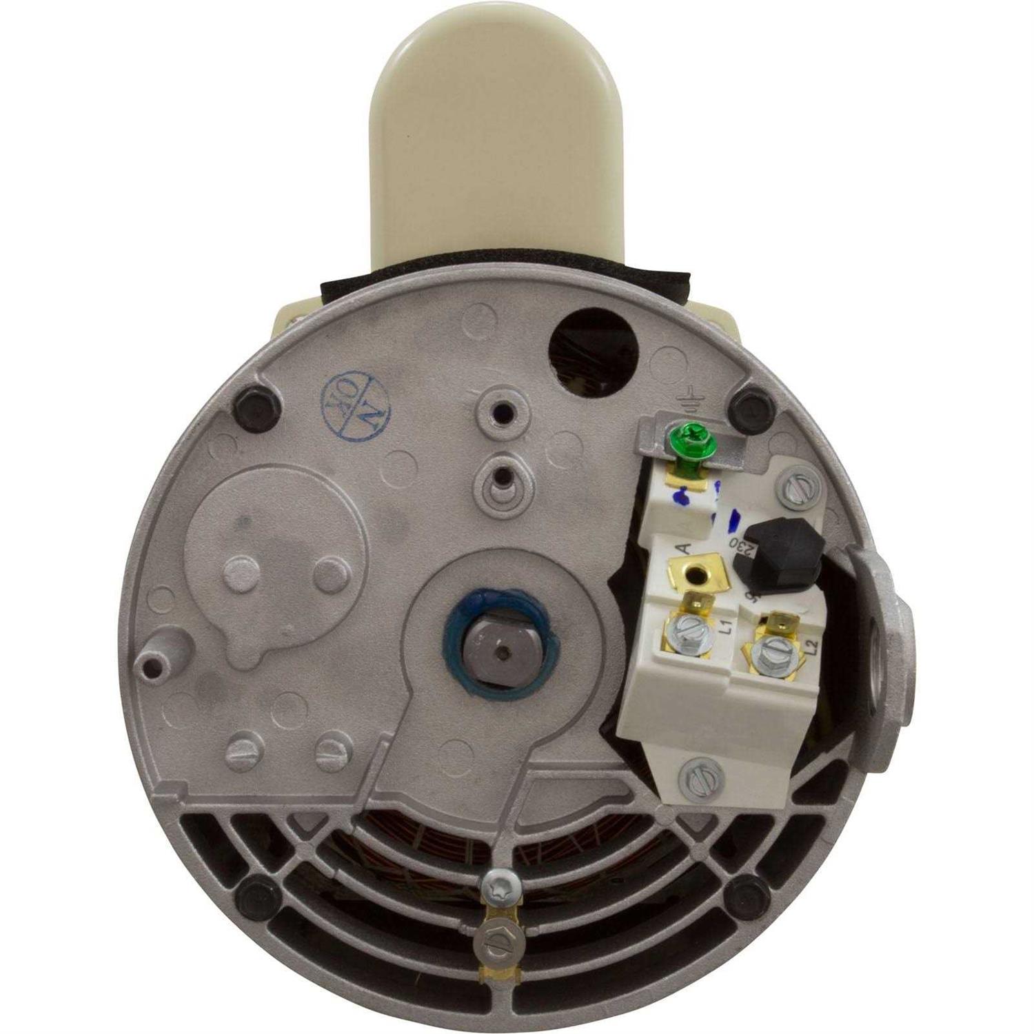 Pentair 1.5 HP Single Speed Motor 355024S - Cheap Fitting