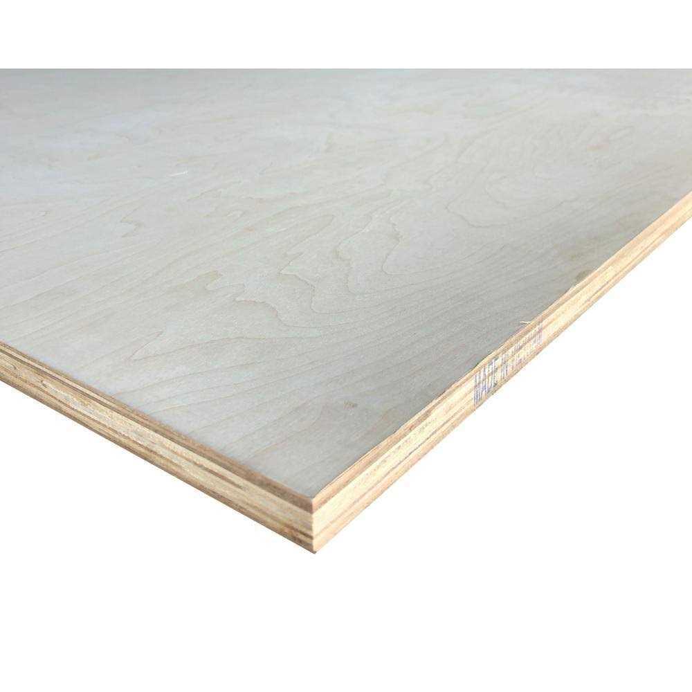 Falken Design 2 ft. x 4 ft. Birch Plywood Project Panel - Cheap Fitting