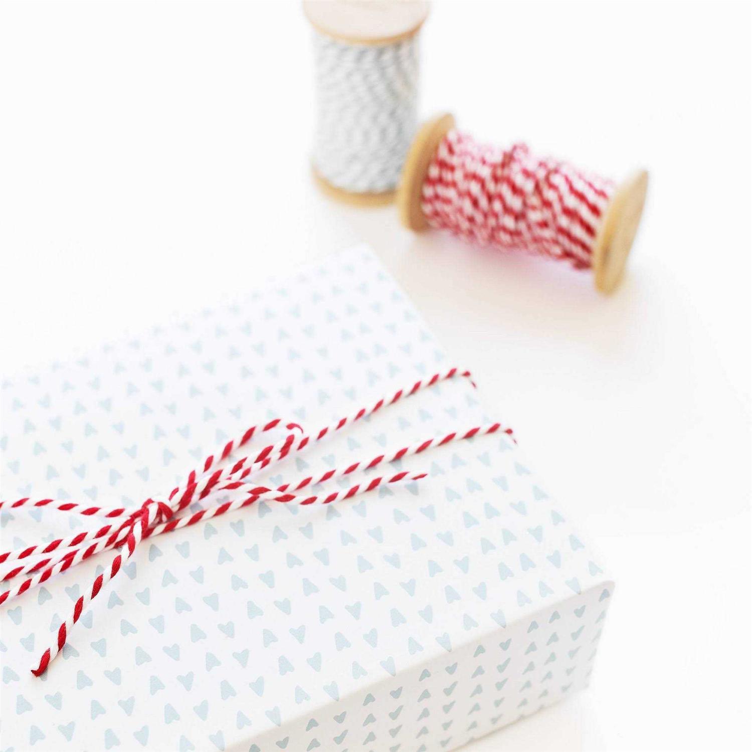 Sugar Paper + Target Baker’s Twine 45ft White - Cheap Fitting