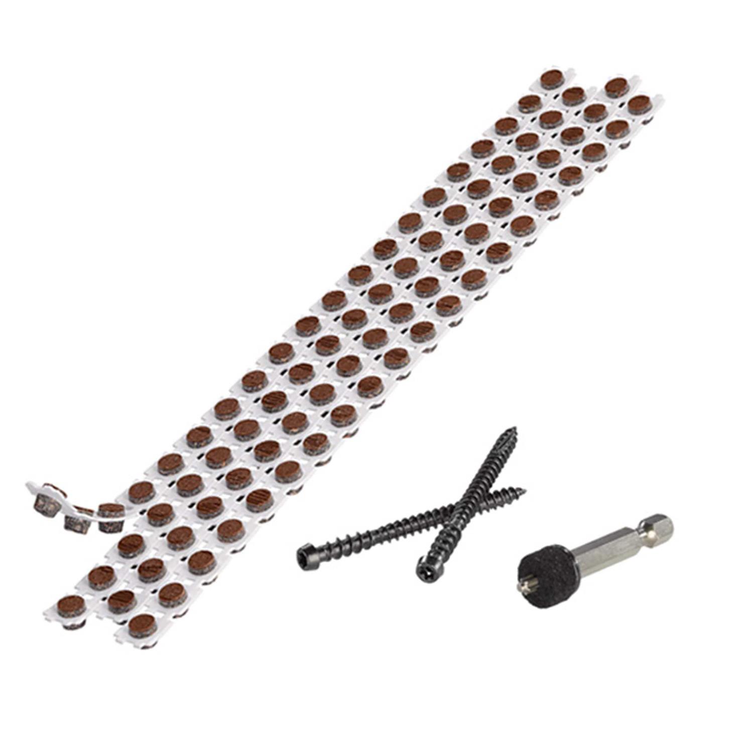 FastenMaster Cortex No. 10 x 2-1/2 in. L Rocky Harbor Torx Ttap Button Head Hidden Deck Fastener 224 2029808 - Cheap Fitting