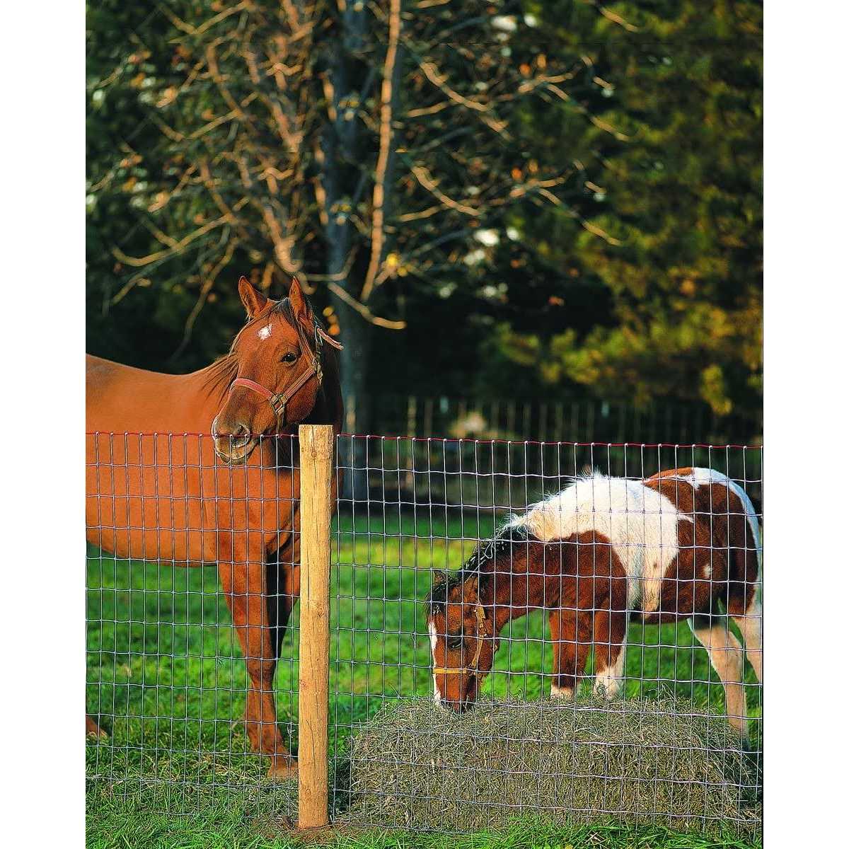 Keystone Steel Wire Horse Fence 72-in. x 100-ft. 70318 - Cheap Fitting