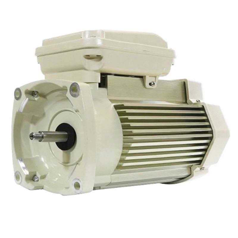 Pentair TEFC Motor 354823S - Cheap Fitting