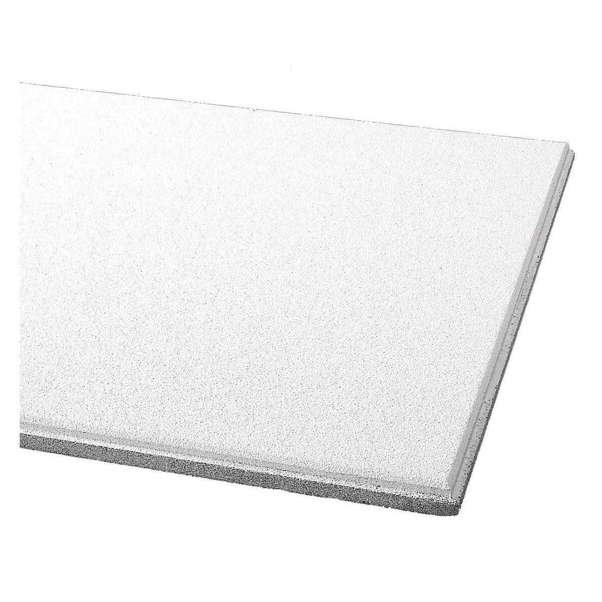 Armstrong World Industries Ceiling Tile,48 in L,24 in W,PK6 1914A - Cheap Fitting