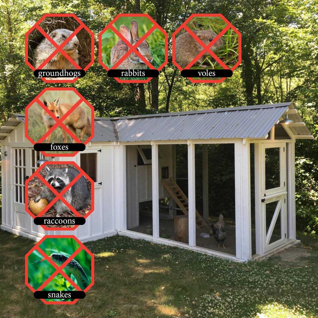 23 Gauge Galvanized Steel Black PVC Coated Hardware Cloth 0.5 x 0.5 Mesh - Cheap Fitting