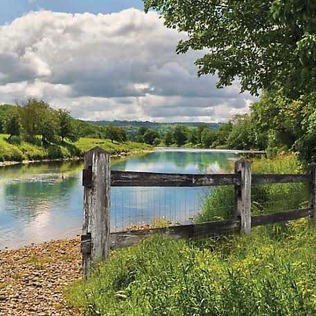 YARDGARD Economy 16 ga Welded Wire Mesh - Cheap Fitting