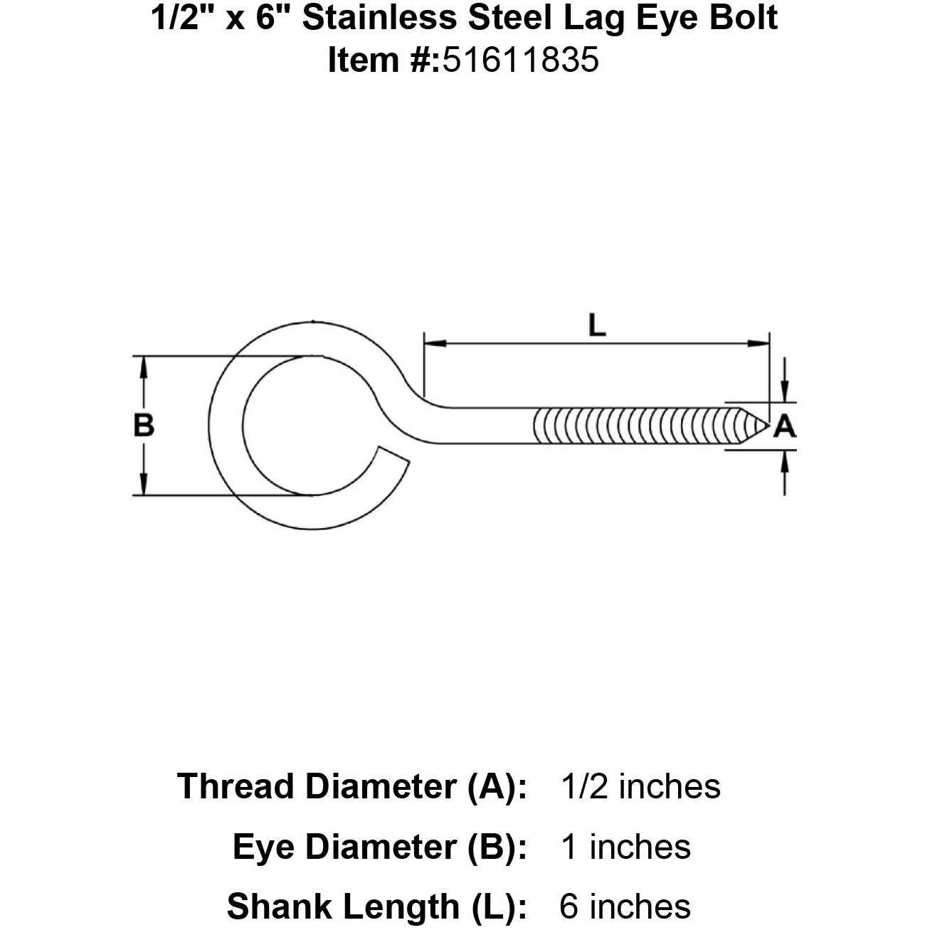 1/2 x 6 Stainless Steel Lag Eye Bolt - Cheap Fitting