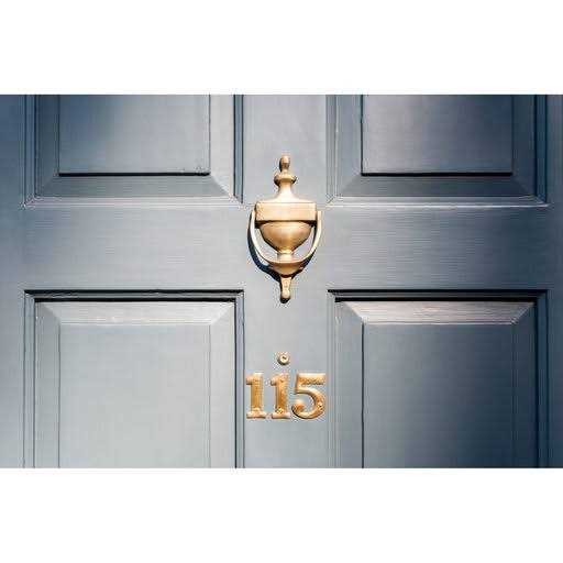 Richelieu Hardware Door Knocker - Cheap Fitting