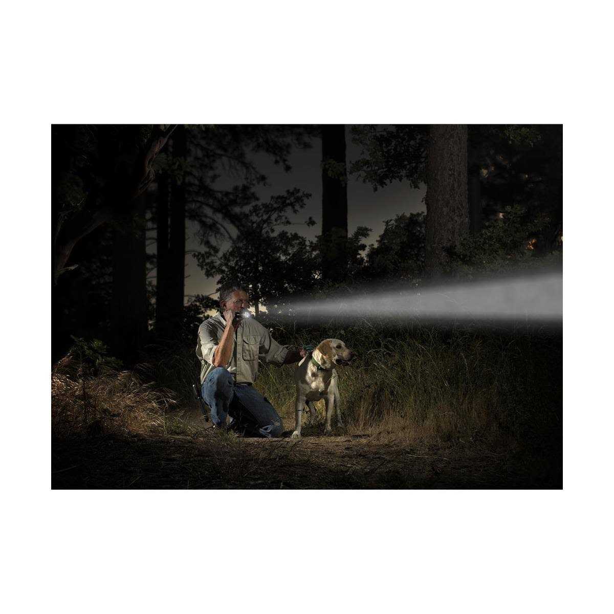 Maglite ML25LT 2C - Cheap Fitting