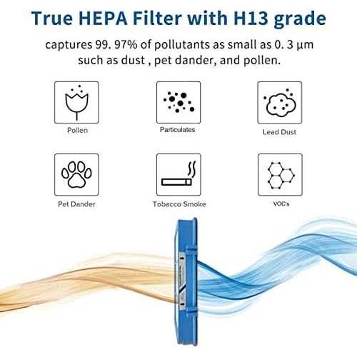 Leemone Aer1 Filter Replacement for Holmes Air Purifiers 2 True Hepa Filters + 4 Carbon Booster Filters - Cheap Fitting
