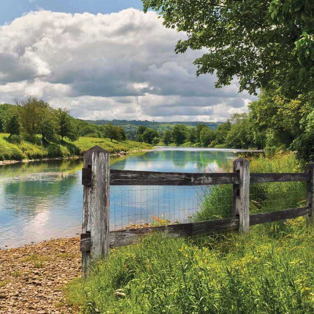 Yard Gard Econoline Welded Fence, 48×50′, Silver - Cheap Fitting