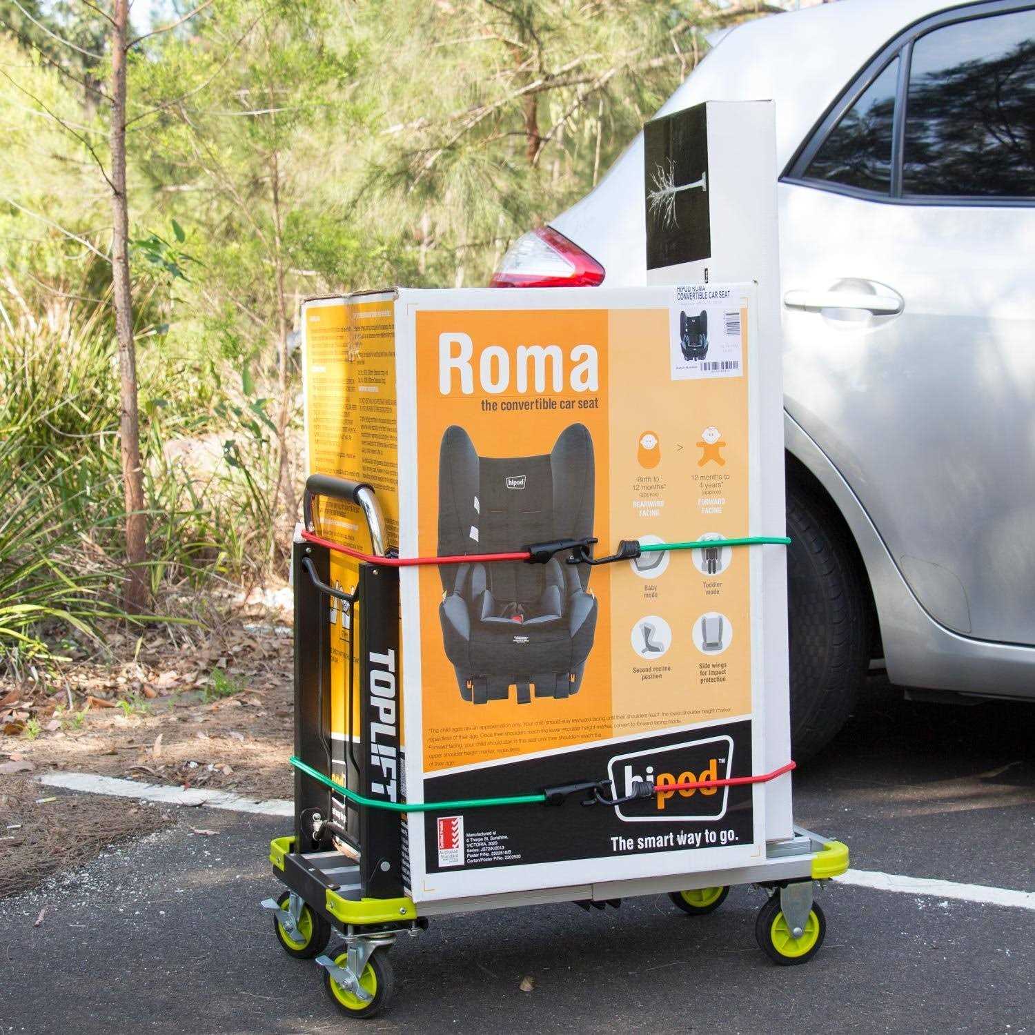 Bungee Cord Assortment Premium 16 Piece Set with Plastic Coated Metal Hooks - Cheap Fitting