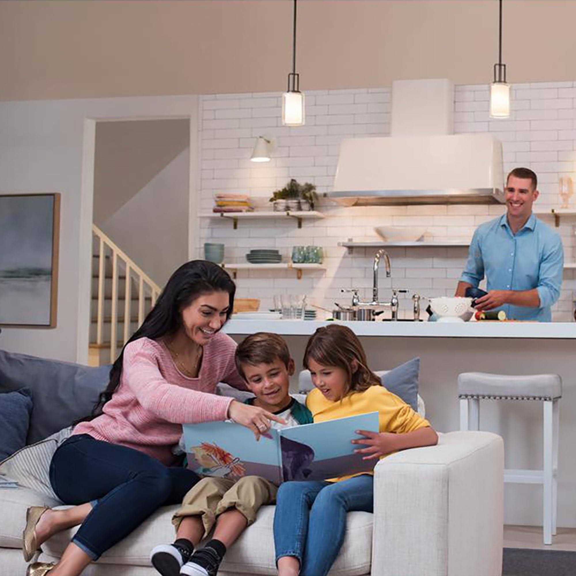 Lutron DVSCCL-153P-MN Diva CFL/LED Dimmer - Cheap Fitting