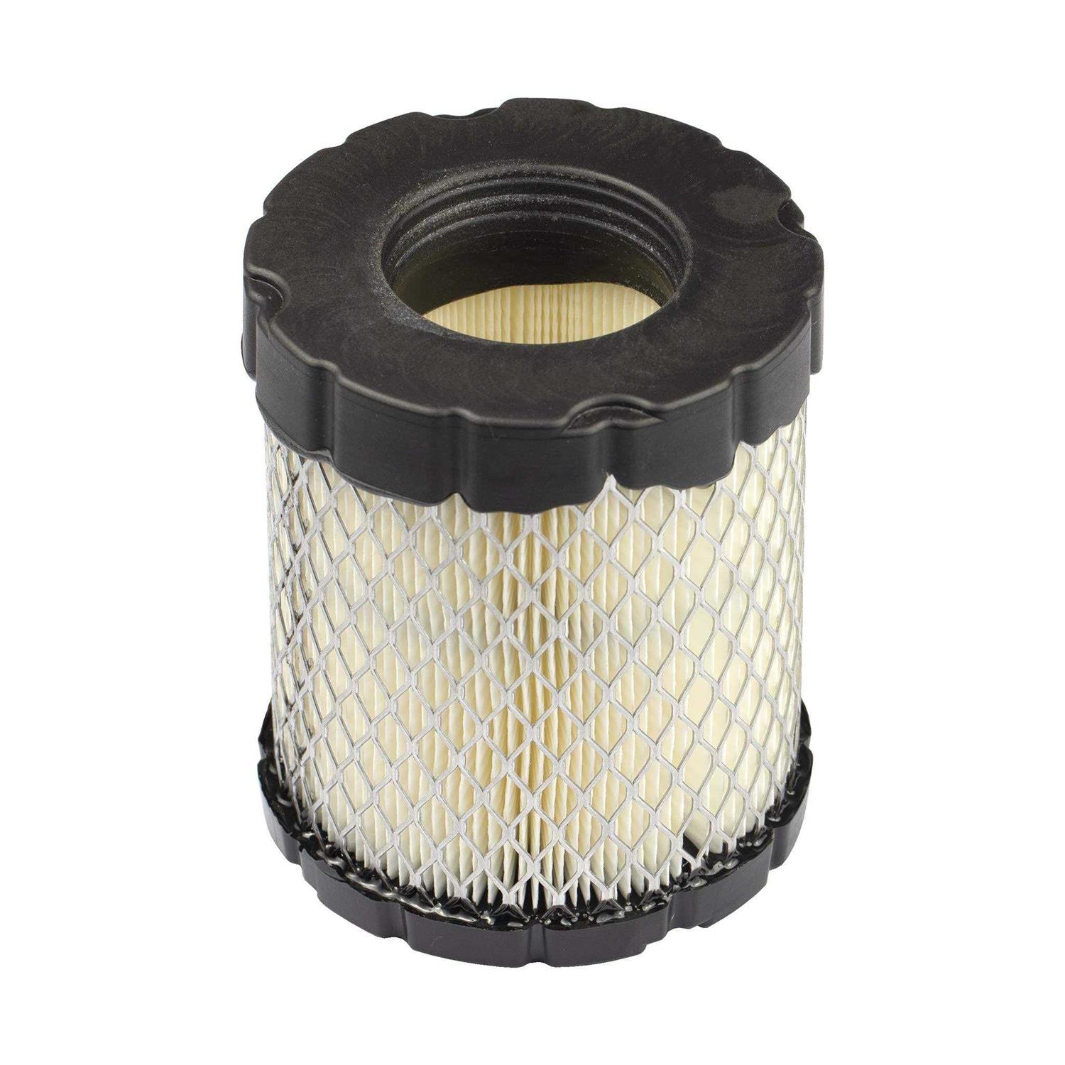 Briggs & Stratton 798897 Air Filter - Cheap Fitting