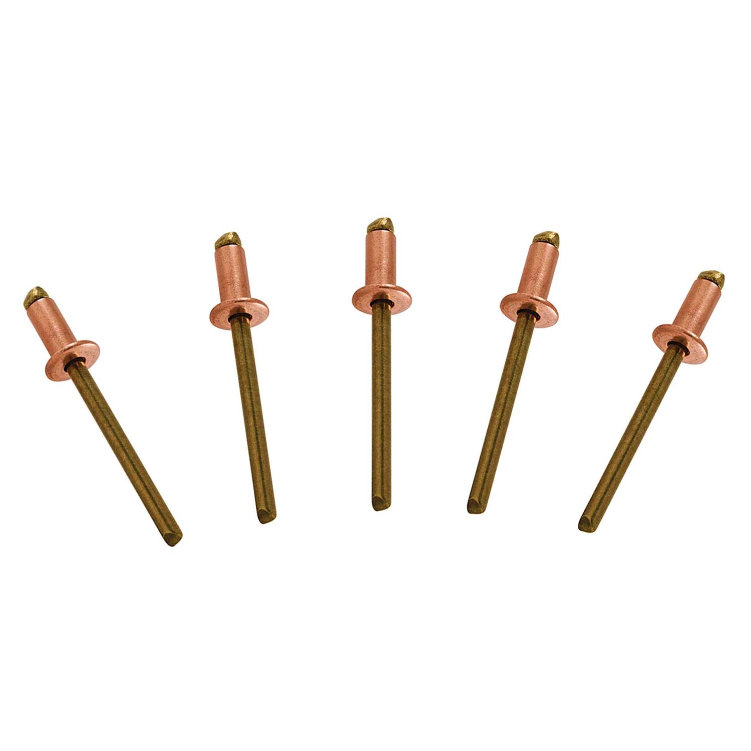 USA Fittings 100 Copper Pop Rivets 1/8 Diameter Brass Mandrel Blind Rivets Dome Head 4-4 Qty 100 - Cheap Fitting