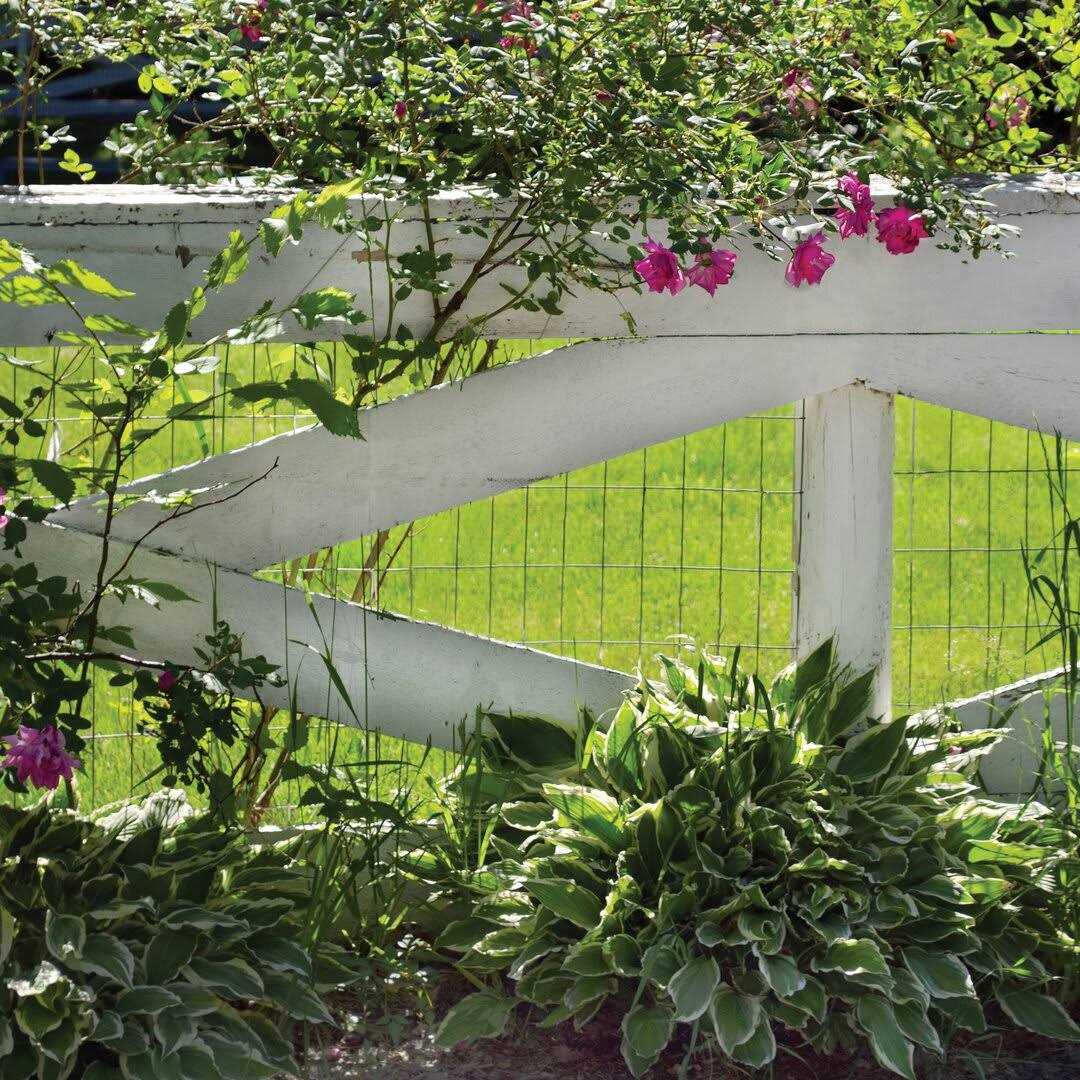 Yardgard Barrier Fence Orange 889210A - Cheap Fitting