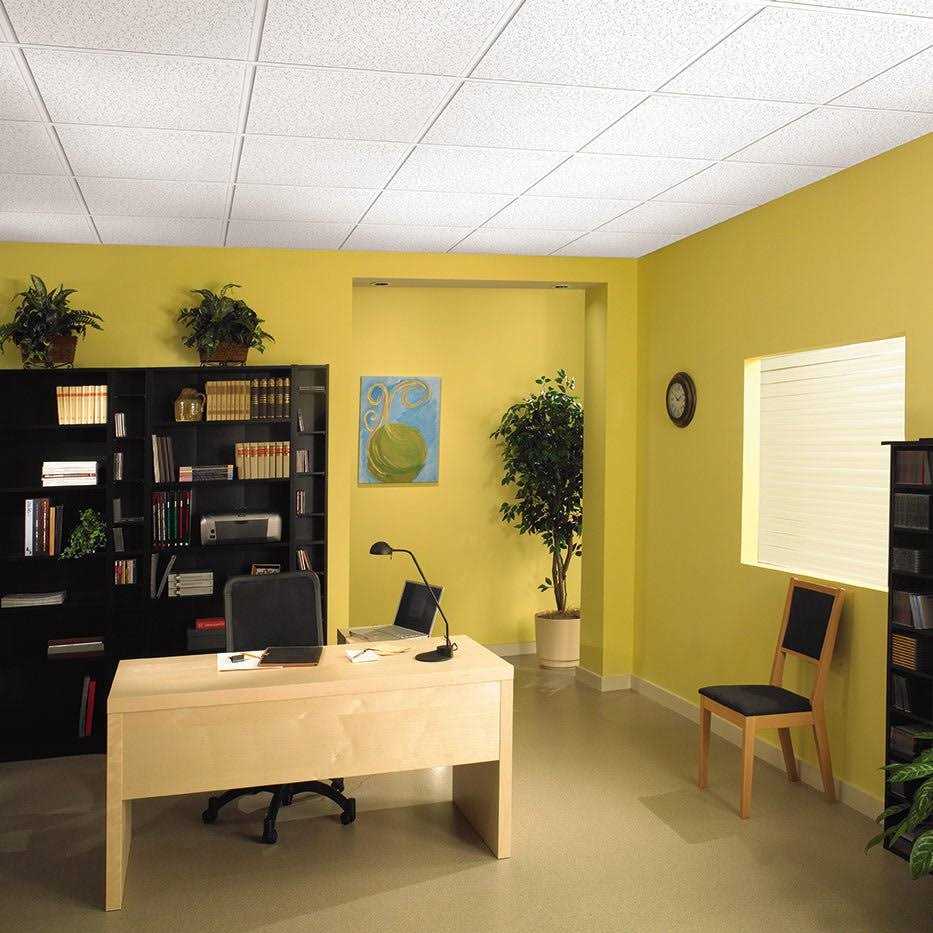 Armstrong Ceilings Random Textured Contractor 48-in x 24-in White Drop Ceiling Tile 10-Pack | 933 - Cheap Fitting