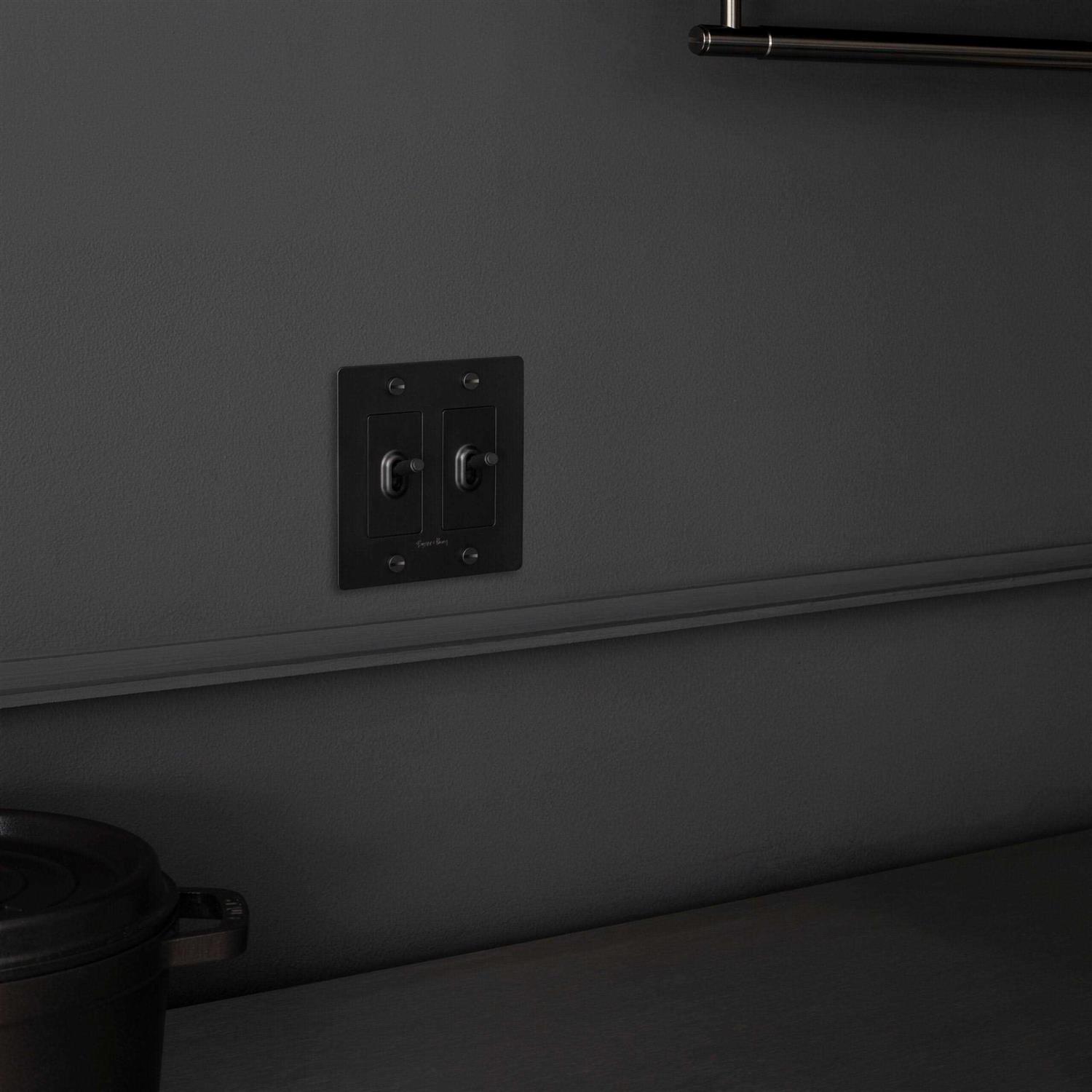 Buster + Punch 2 Gang Toggle Switch Complete NTG - Cheap Fitting