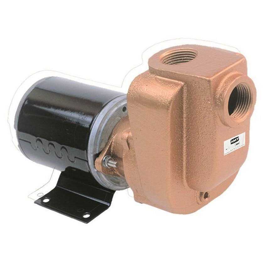 AMT Pump 4851-97 Self-Priming Utility Pump Bronze 1/8 hp 4851-999-97 - Cheap Fitting