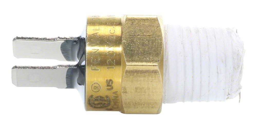 Pentair 42001-0063S High Limit Switch - Cheap Fitting