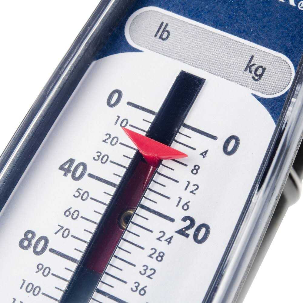 Taylor 280 lb Hanging Scale 33284104 - Cheap Fitting