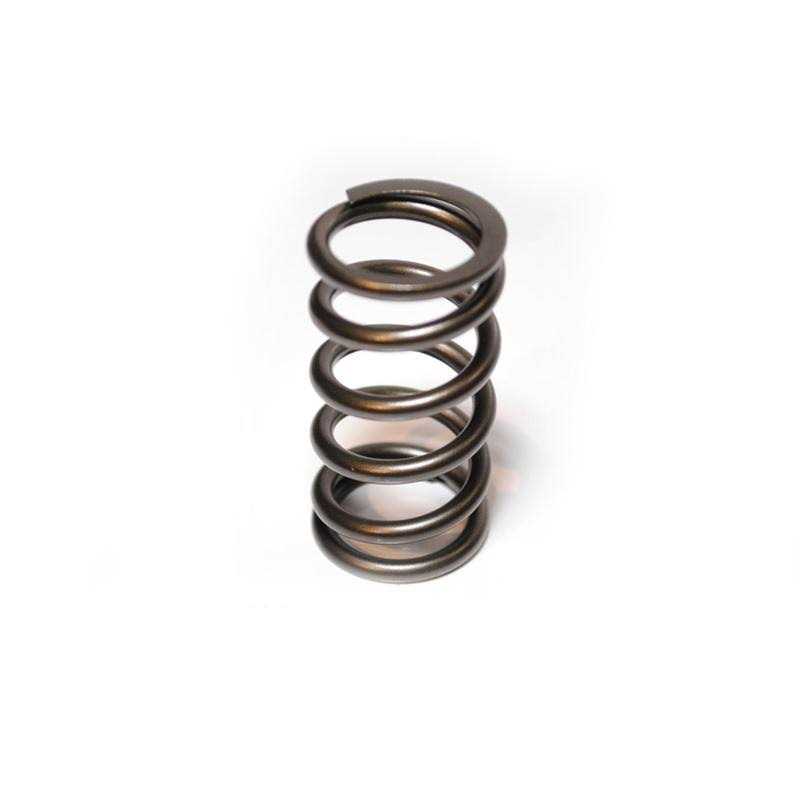 Hamilton Cams 07-S-003 Valve Springs - Cheap Fitting