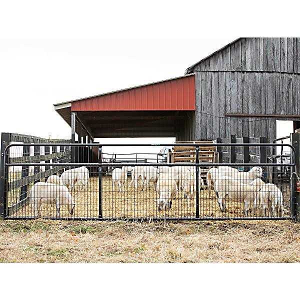 Tarter 16′ 2 x 4 Wire Filled Gate WFGBL16 - Cheap Fitting