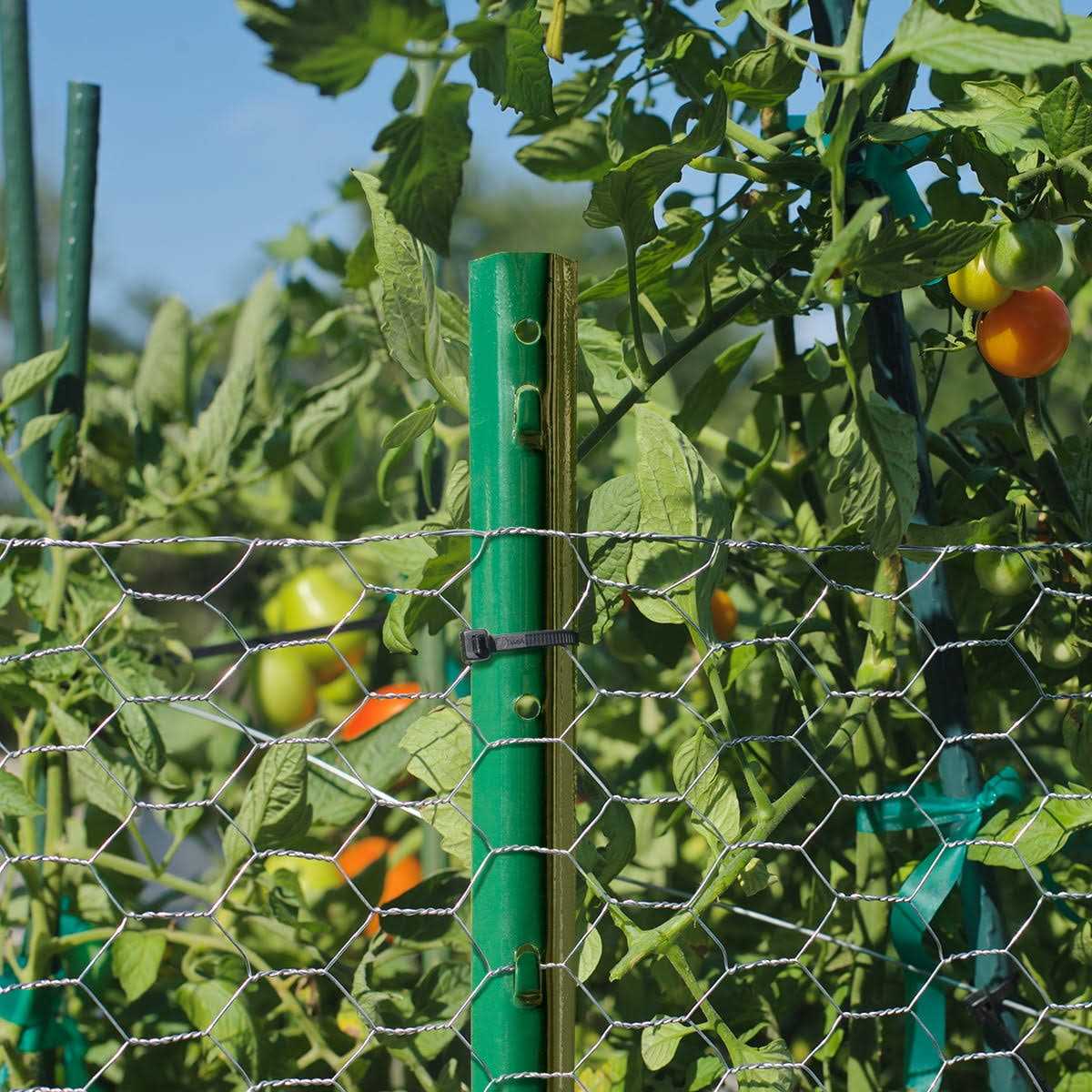 Garden Zone Poultry Netting - Cheap Fitting