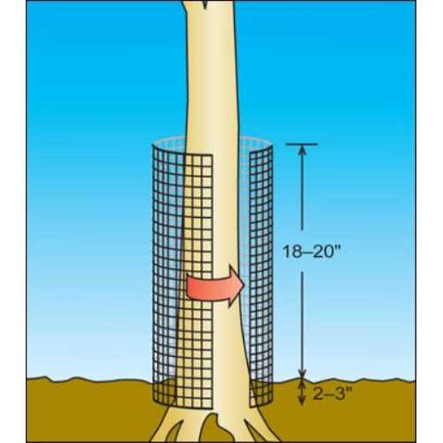 AMAGABELI GARDEN & HOME Hardware Cloth 1/2 inch 36inx50ft 19Gauge Galvanized After Welded Cage Mesh Roll Square Chicken Wire Netting Rabbit Fence - Cheap Fitting