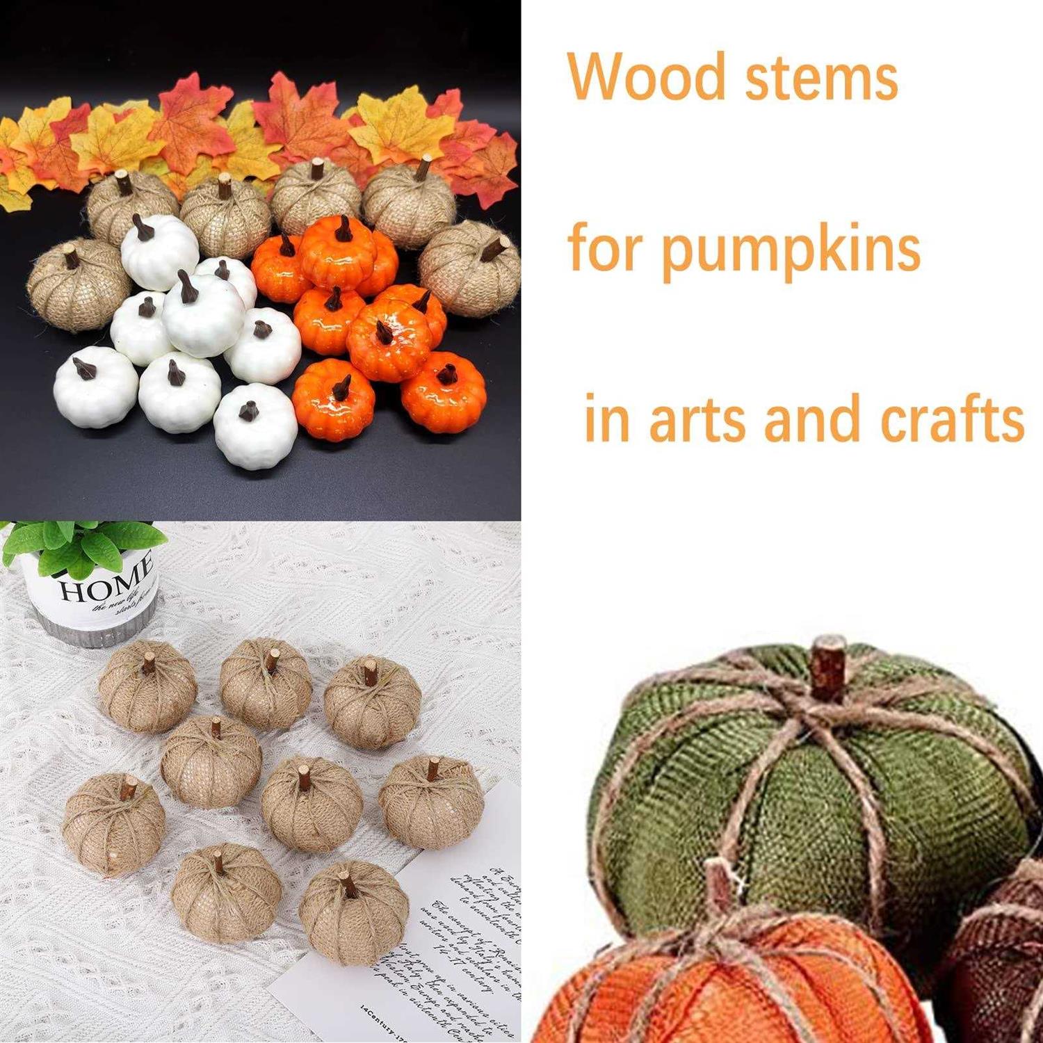 LAZACA Craft Sticks Wood Sticks Crafting Twigs Crafts Log Toy DIY Vase Fillers Pumpkin Stems Rustic Decorations Ornaments,Loose Parts Play Materials - Cheap Fitting