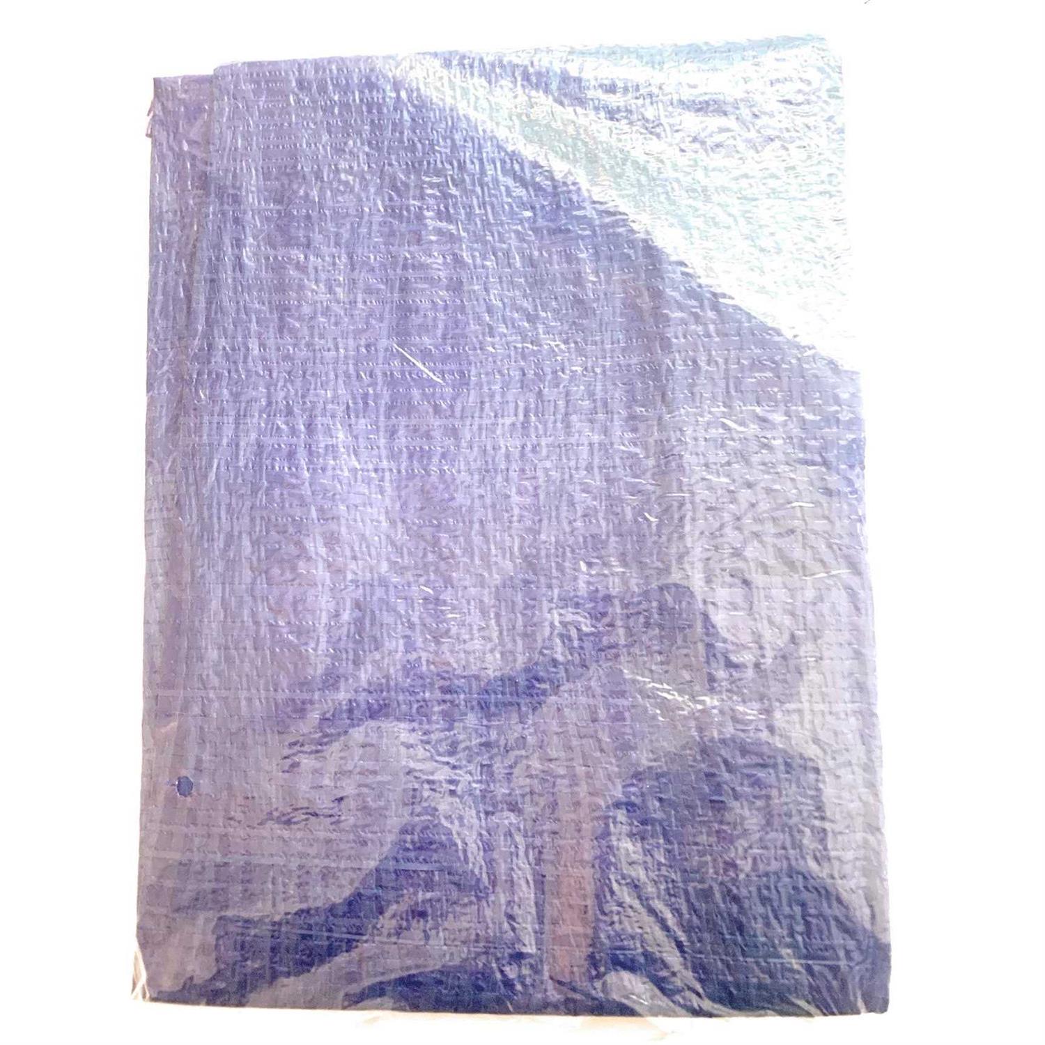 Tool Bench Hardware 4′ x 6′ Blue Tarpaulin - Cheap Fitting