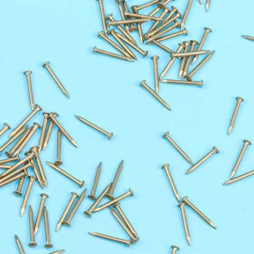 Heallily 100pcs Copper Nails for Killing Trees Removing Stumps Copper Nail Spikes for Slating Roofing 20mm - Cheap Fitting