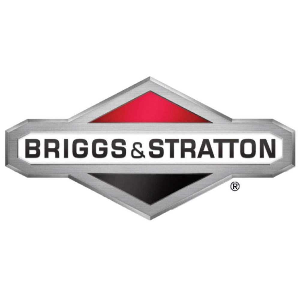 Briggs & Stratton 595318 Carburetor - Cheap Fitting