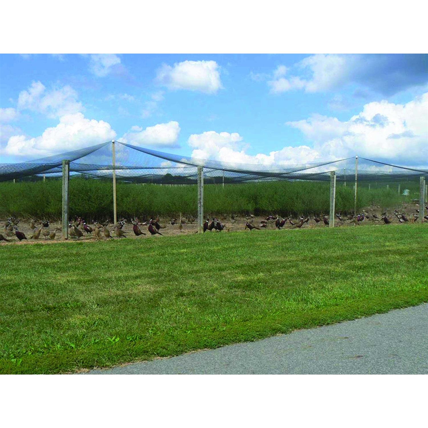 Stromberg’s 2 Heavy Duty Knotted Netting - Cheap Fitting