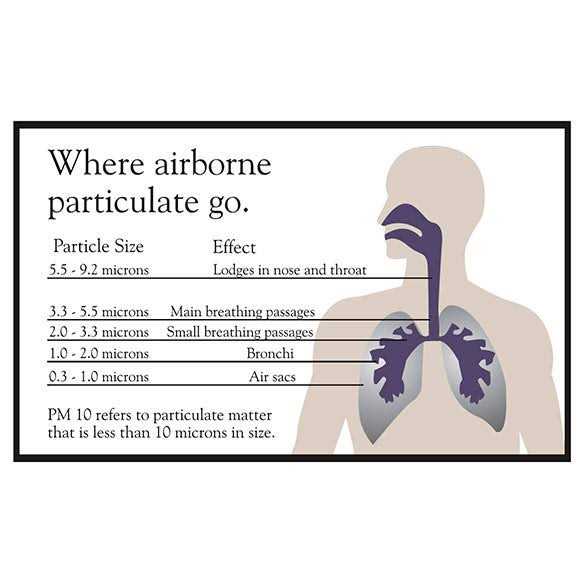 Austin Air Healthmate Junior Filter - Cheap Fitting