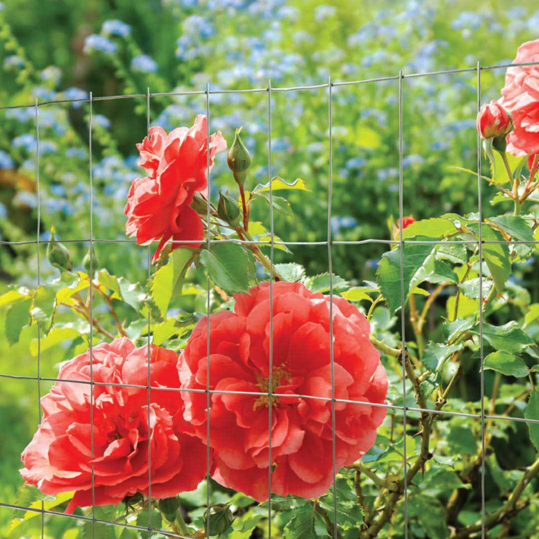 Yardgard Barrier Fence Orange 889210A - Cheap Fitting