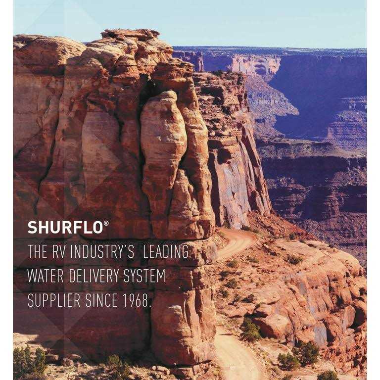 Shurflo 94-800-05 55-Psi Switch Assembly - Cheap Fitting